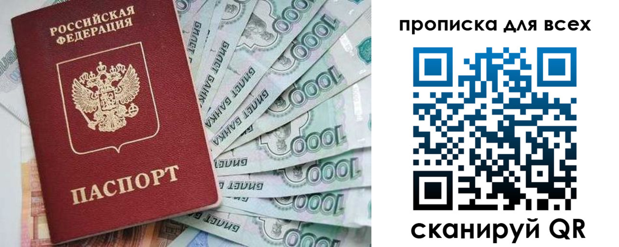 прописка гарантия в Луховицах